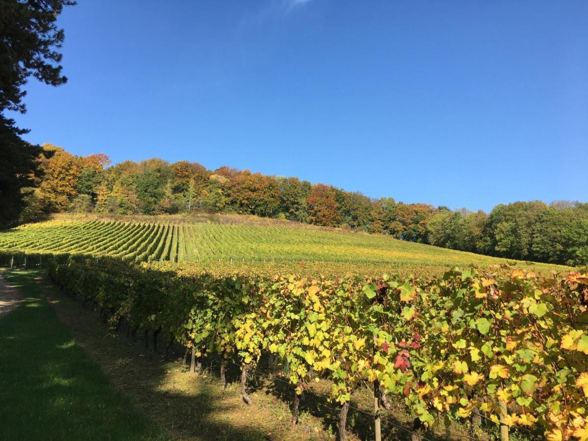 D'hotes La Bottee Bed & Breakfast *