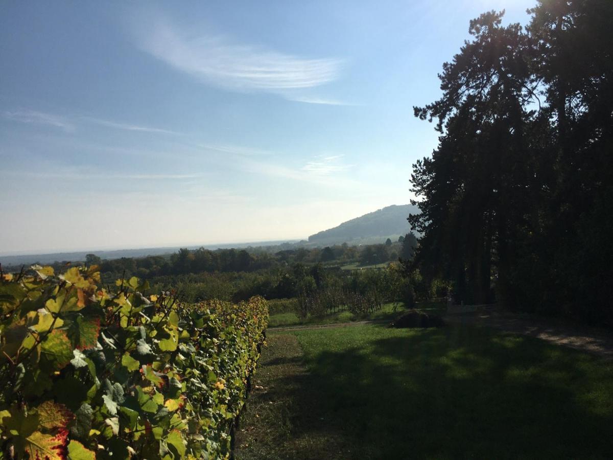 Bed & Breakfast D'hotes La Bottee